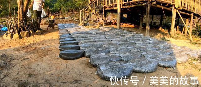 院子|自己动手捯饬院子，塑料袋里灌水泥，铺满整个地面，比青石板结实