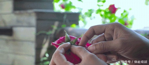 做一桌玫瑰,送给我最爱的你们~