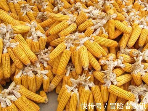 纳豆|它们是高血脂的“天敌”，坚持每天吃一点，可能高血脂慢慢消失！