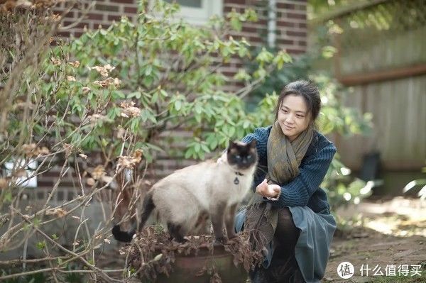 我的父亲母亲|移动画面 篇五十九：让这些秋天的影视，带你领略秋天的多彩