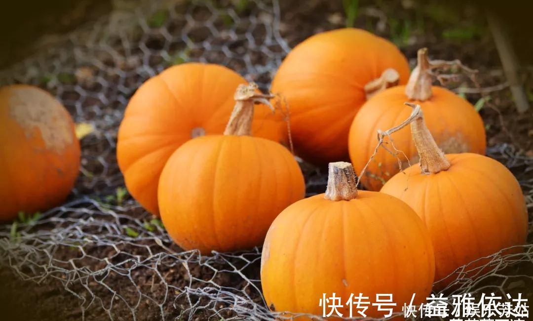 胃黏膜|幽门螺杆菌害怕“2黄”，不是小米，你若爱吃，胃或会感激你