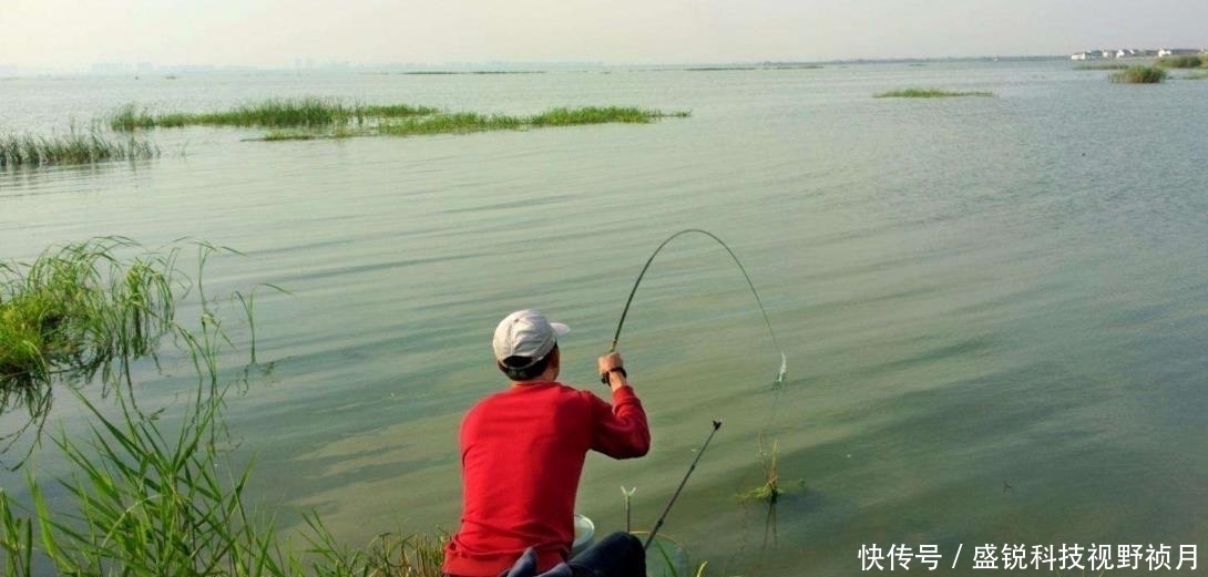 口鱼|钓友你关注过“竿稍入水”的深浅吗?如还不懂,以下5百字教会你