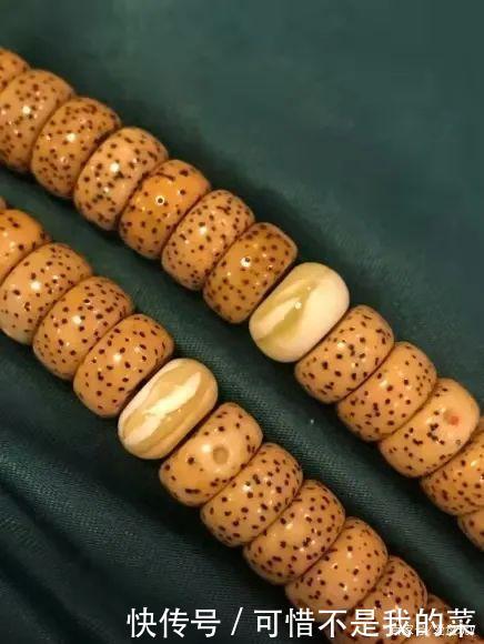 星月|一条星月,被玩出这么多花样,忒馋人!