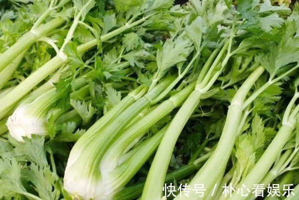 黄瓜|天天和芹菜打交道,才发现芹菜的一种吃法还有毒,赶快告知家人