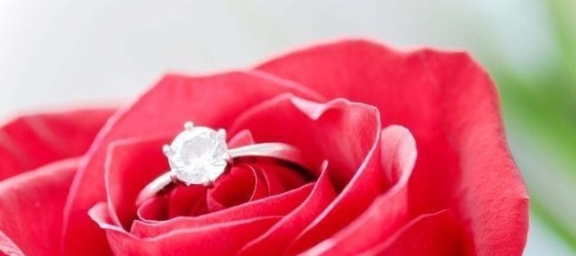 葱头|宠辱之间——争与不争