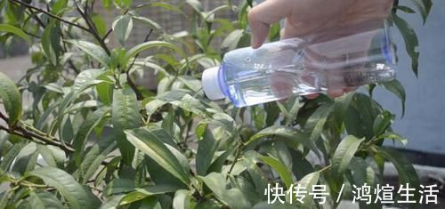 实用|塑料瓶上戳2个洞,放在家里特别实用,轻松省下不少钱,快试试吧
