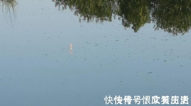 浮漂|学会调漂反而钓不到鱼了?别误会,那是因为你只学了一半!