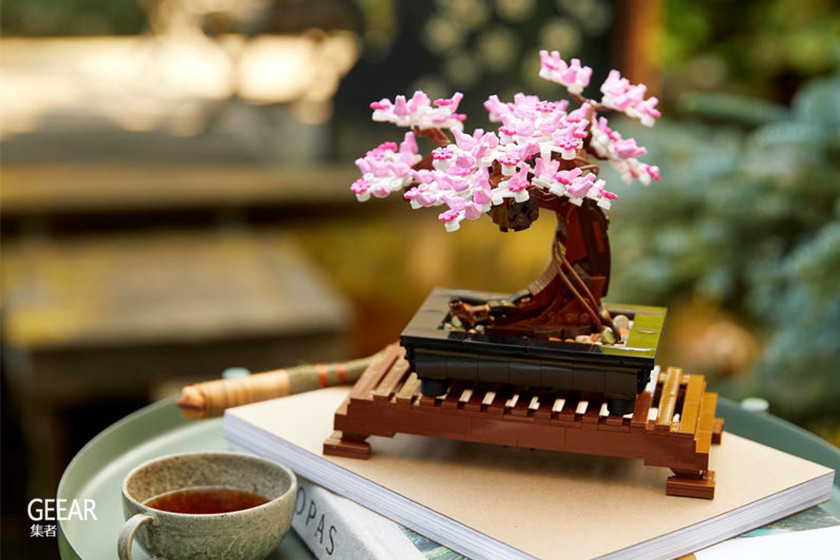 乐高首次推出植物系列，为居家摆设添上一束永不凋谢的花！