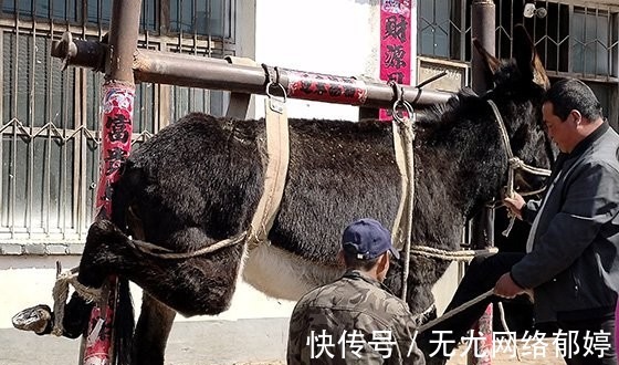 老照片|100年前民国时期的山海关的老照片