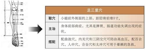 人体头部、面部、胸腹腰部、下肢、脚部常用穴位集锦大全，快收藏