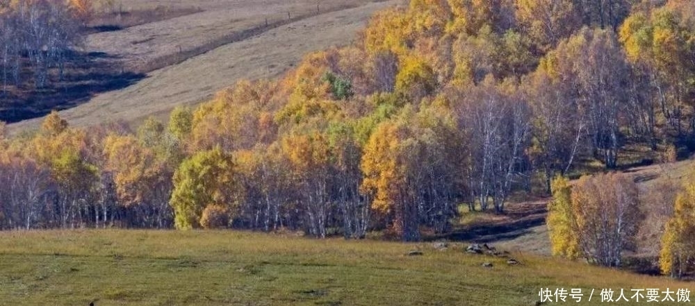 洪仁|河西经济区的崛起(二)