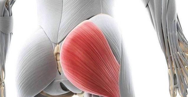 臀大肌|号称“中国第一美臀女神”姜黎明她将臀部练到极致，让人羡慕