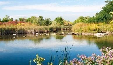 诗人|朱熹鲜为人知的七律,开篇如入画境,尾联更令人启迪深刻