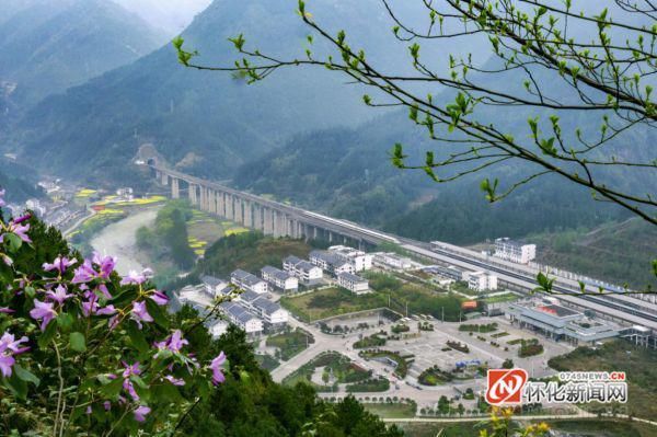 花中高铁成风景