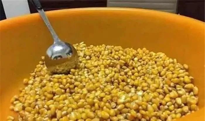 秋钓鲤鱼这4招，再配上自制饵料，“空军”拜拜了您呐！