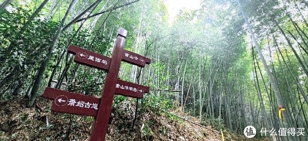 山阴道上行 如在画中游|旅行日志 篇一：绍兴 · 萧绍古道 | 中年