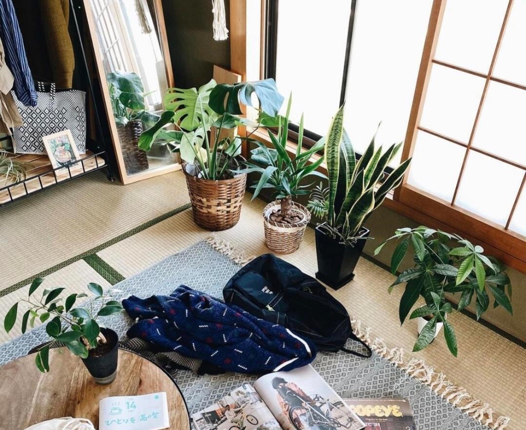 单身公寓|日本小姐姐30㎡单身公寓，房子小是其次，但生活必定要有小院子