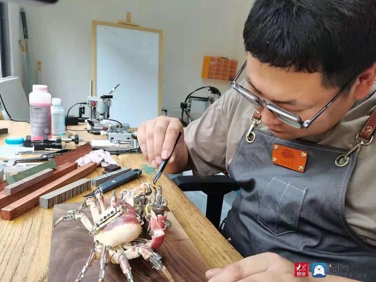 青年文创家张国祥：为昆虫标本“注入”生命让标本“活”起来|青年说| 极械造物工作室