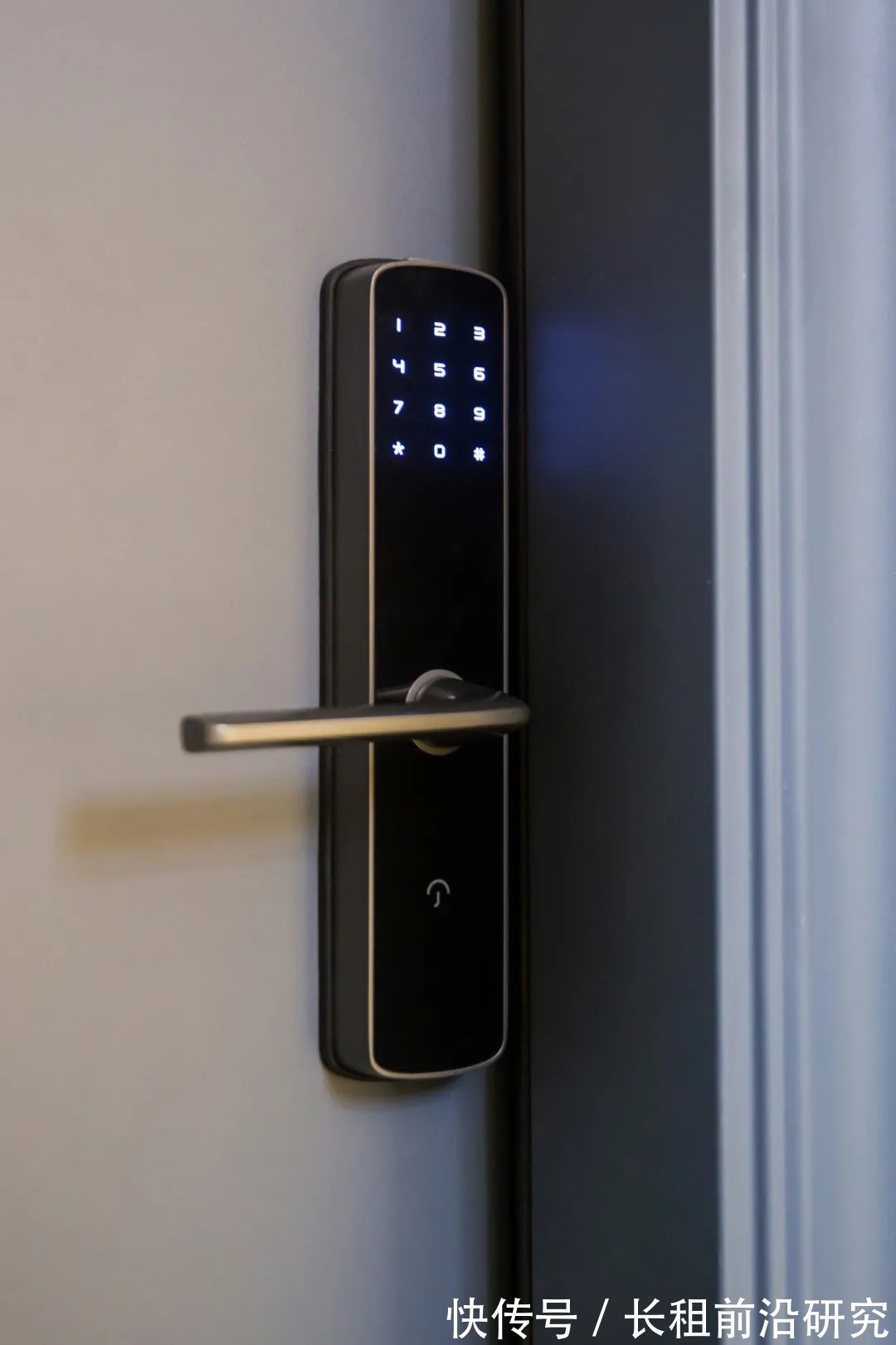 森林公寓|Z世代新人居,碧桂园"第二个家"亮了