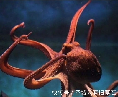 让人觉得神奇的20条冷知识