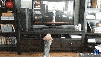 五种关于时间的假说刹那即永恒、时间倒流,时间是幻觉等