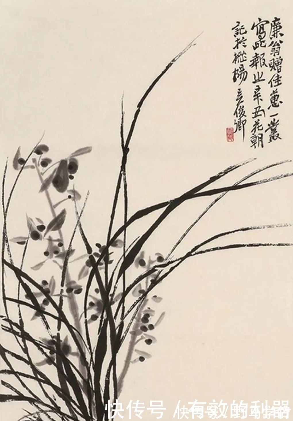 菊花|花中四君子，梅兰竹菊魅力无边，深得文人雅客的喜爱