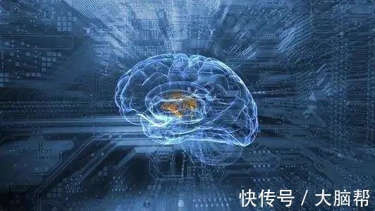 研究|脑科学研究:七个科学方法让学习更高效