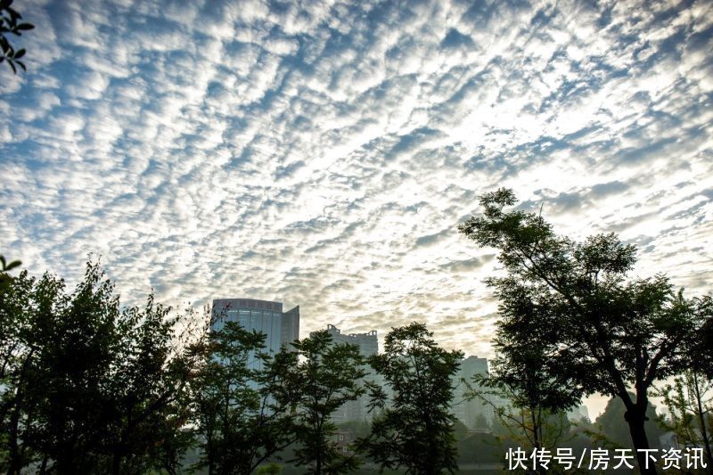 买房子的人|尽快取消公摊面积?专家:公摊不能取消,而且越大越好