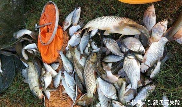 冬末春初钓鱼,5宜5不宜,这些技巧简单易掌握,钓大鲫鱼更轻松