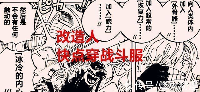 暴君熊|海贼王1029话山治两年特训得到了什么其实暴君熊早已知道一切