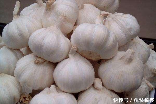 蜂蜜|幽门螺杆菌“大冤家”,不是大蒜,常吃不仅除菌养胃,胃很舒服