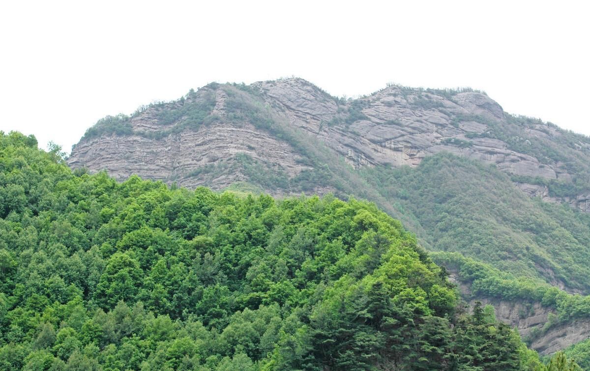 晶莹|犹如一颗晶莹美丽的明珠,镶嵌在山区腹地当中,孟达自然保护区