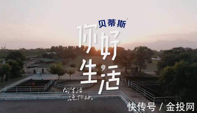 12部高质量宝藏综艺!3部央妈出品,兼具学习与娱乐,温暖又治愈