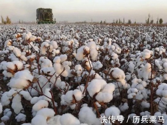 市场份额|眼看中国市场份额保不住,耐克CEO示好:耐克品牌“属于”中国