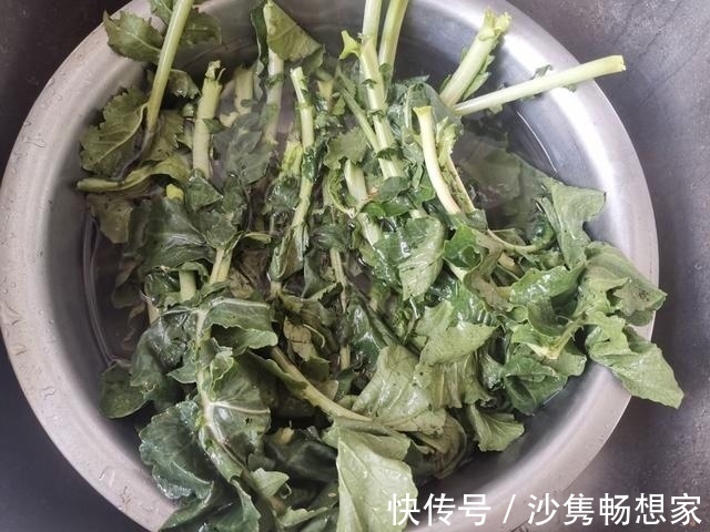 萝卜缨子|萝卜缨你知道怎么吃吗这样做一锅鲜美特好吃,网友节约不浪费