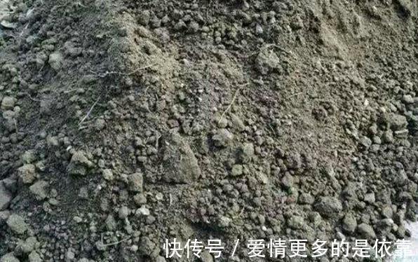 如何保障养花土的安全性学会这3妙招,不花钱就能杀菌消毒