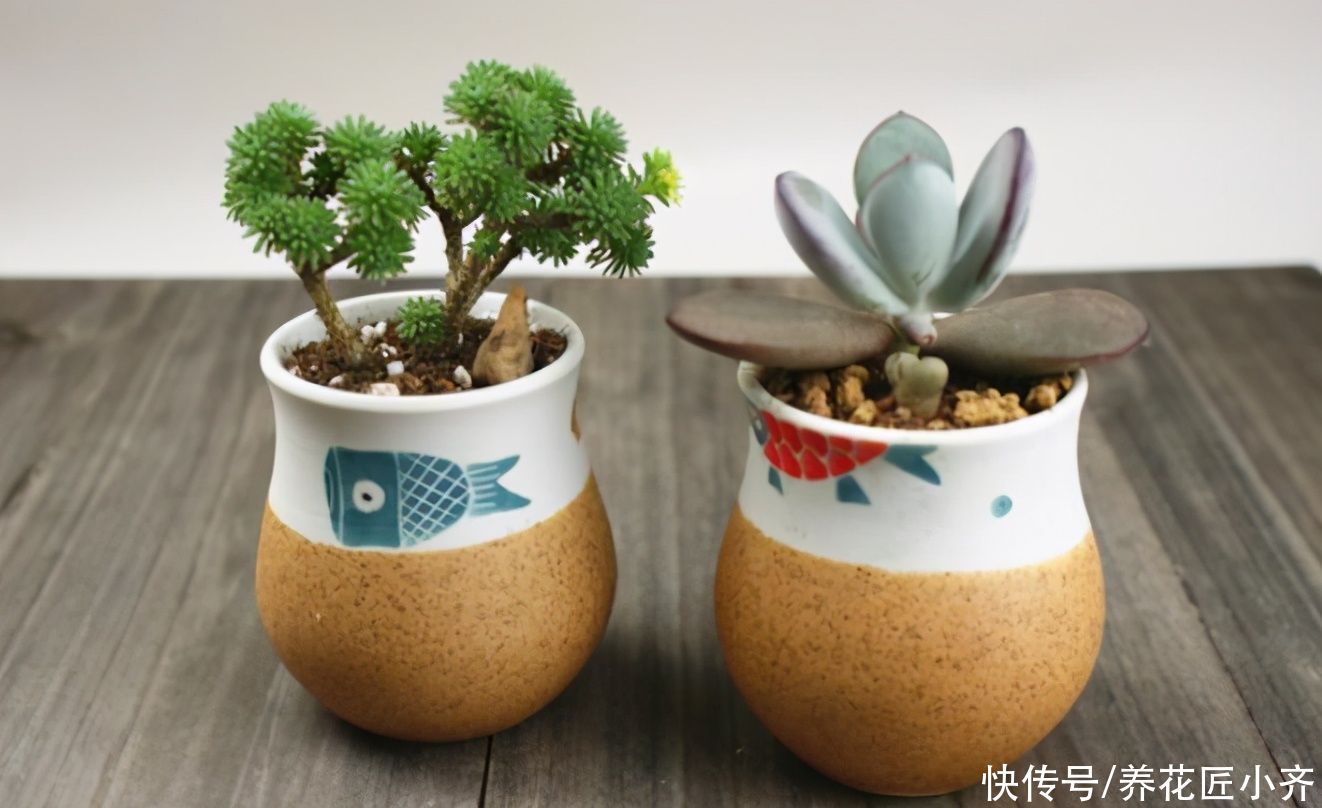 阳台养花“三大件”，其中两种不必买，可以自己做，养花更好用