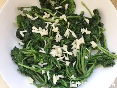 野菜|早春常见一野菜,古时是军粮,野外若遇到,请用袋子多装点