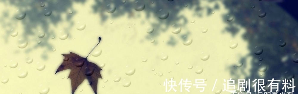 素光|秋雨落,听雨声,伤了谁的心,落下谁的泪,成了谁笔下的泪痕?