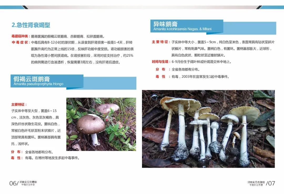 野生|所有人,邵阳市疾控中心最新提醒:勿采勿食不买不卖!