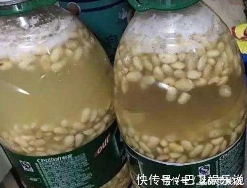 食醋|家养花草得会浇水：盆栽植物远离4种''索命水''，越长越旺盛