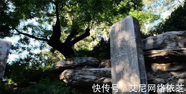 明思宗|煤山上的那棵歪脖子树到底见过当年的崇祯皇帝没