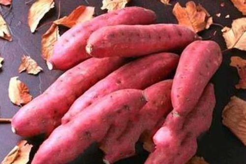 减肥期间|减肥最佳的主食，不是米饭更不是面条，而是以下5种食物