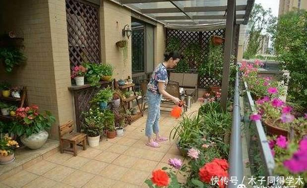 养花做好5步,新手变高手,养花不愁!