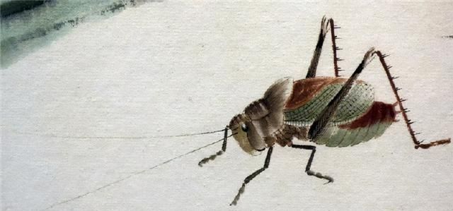 齐白石&齐白石画知了,以为是照片打印出来的,画得像活捉的一样