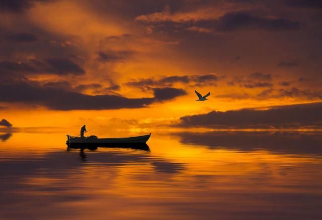 暮鸦#诗词:雨霁秋林见暮鸦,人形雁阵弄新霞