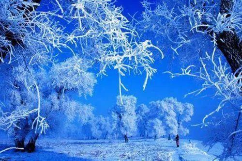 那一年，我家的酸菜“羊肉”