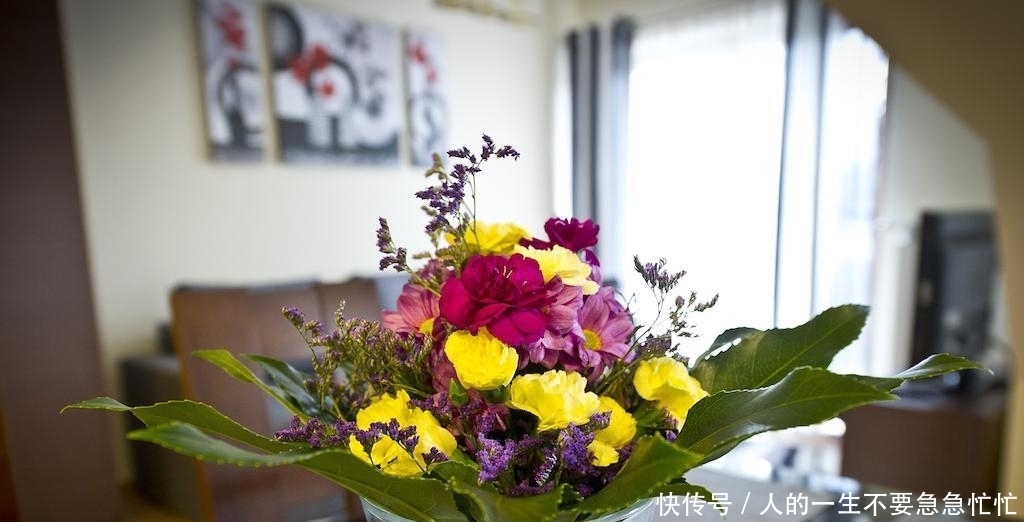 俗语:鲜花屋中放,花旺人不旺,有道理吗?为何房间里不能种花?