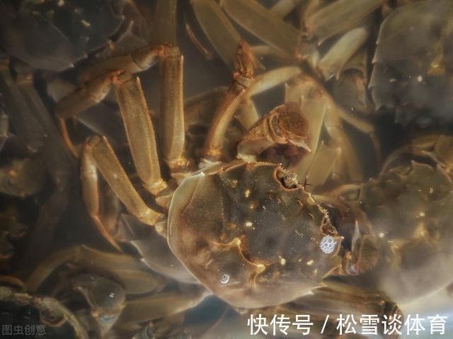 螃蟹|螃蟹买多吃不完，怎么保存？老蟹农教你3种方法，放5天依旧鲜活