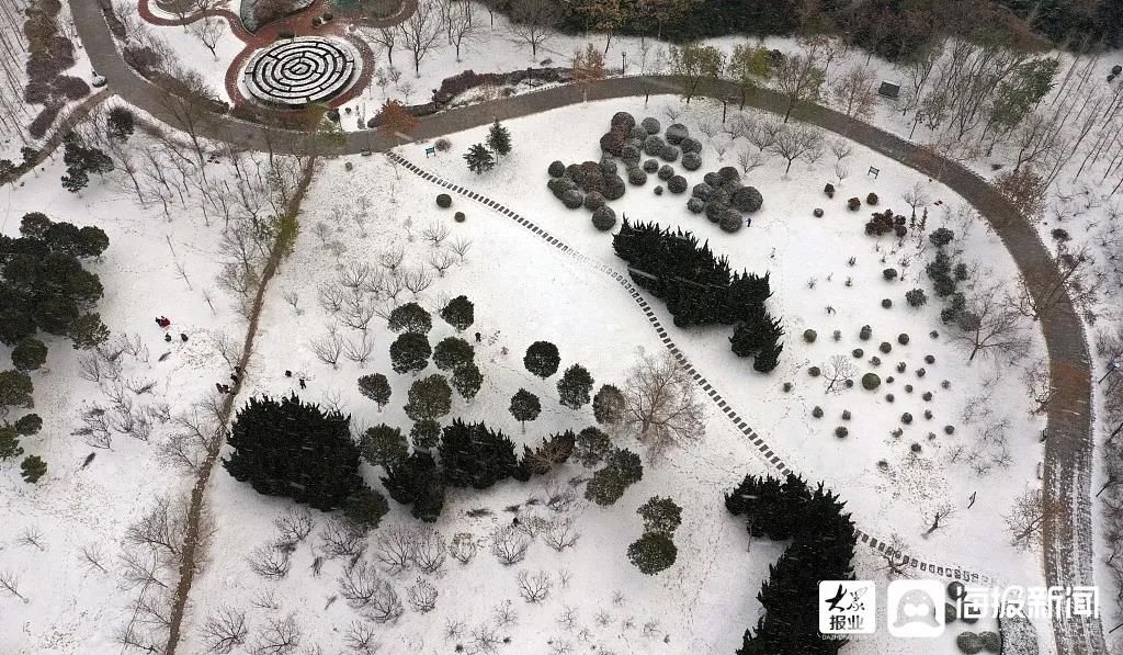 雪景|烟台终于下雪了！（附烟台绝美冰雪图）